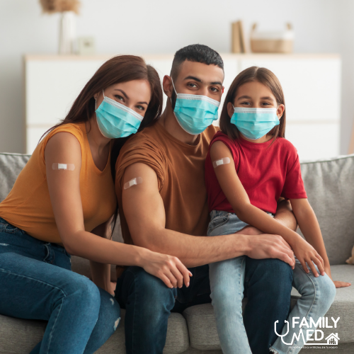 vacuna influenza a domicilio